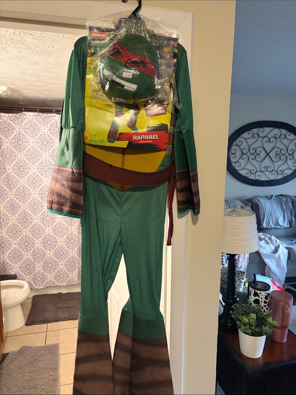 Raphael Teenage Mutant Ninja Turtles Green Kids Costume with Mask